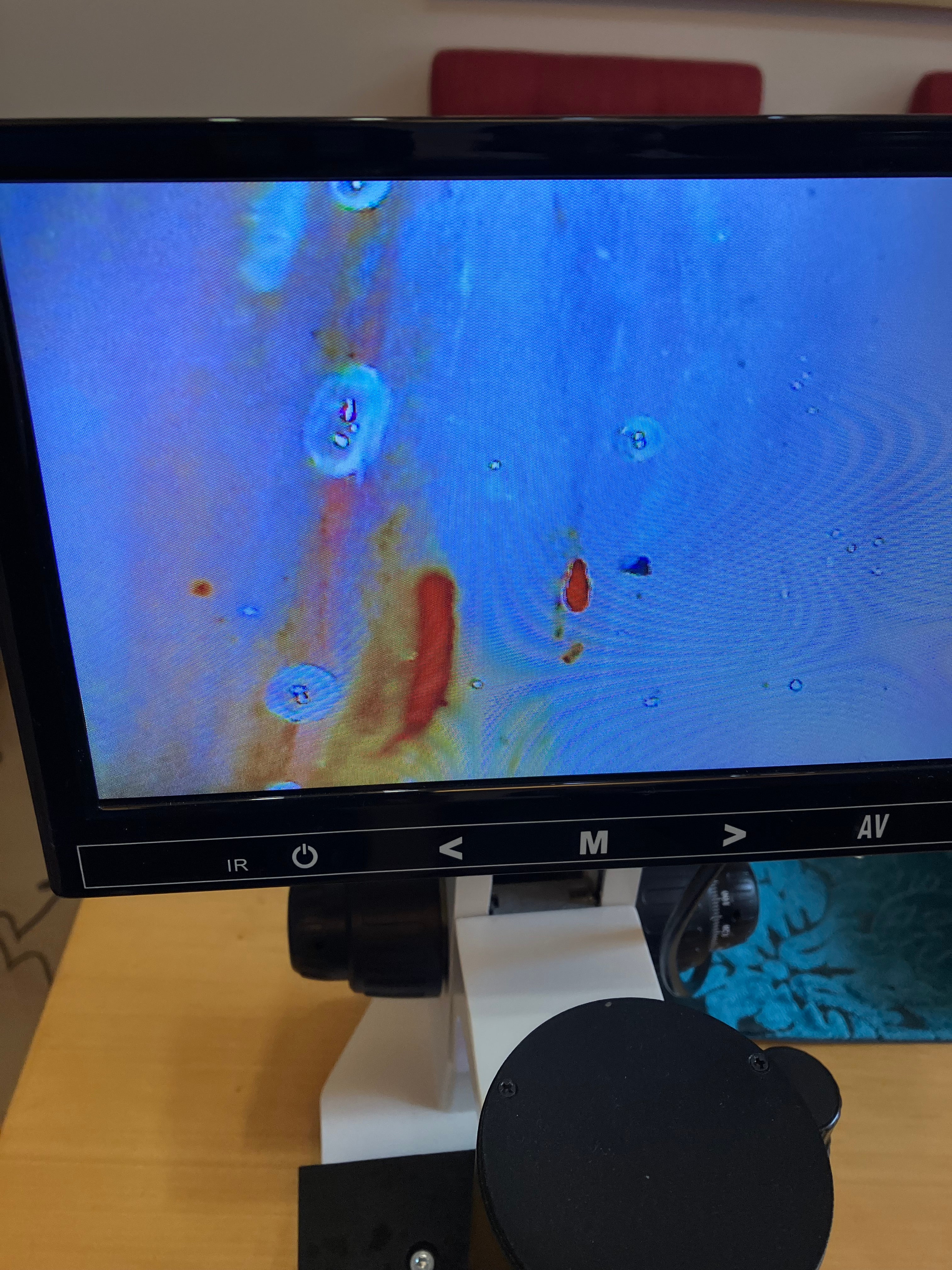 生まれ変わりコースで新たな人生のスタートをの写真