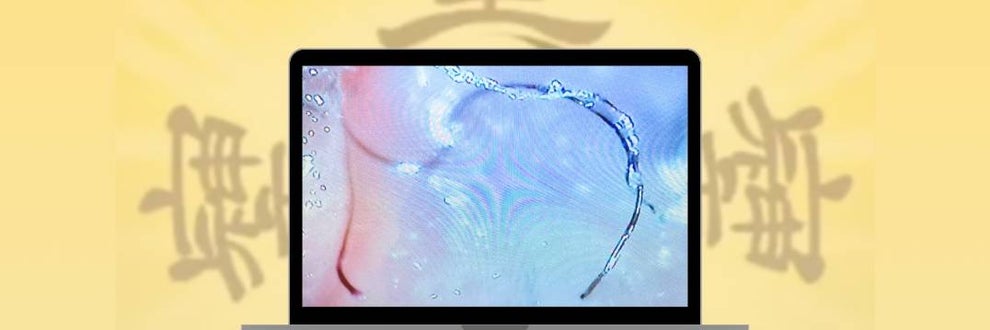 デトックスサロン福岡　春日原の画像