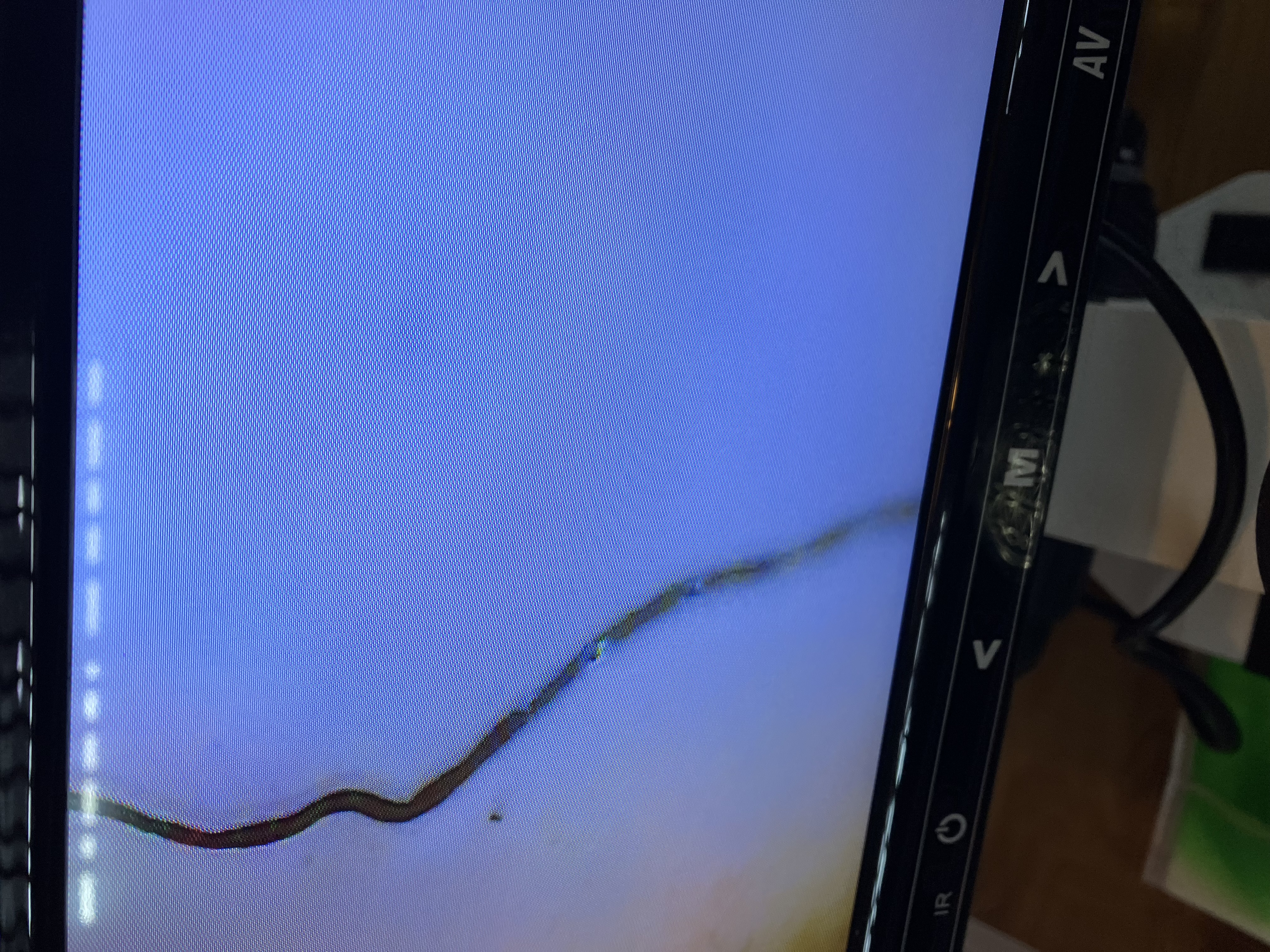 ハリガネロボット ナノテクノロジー寄生虫の画像