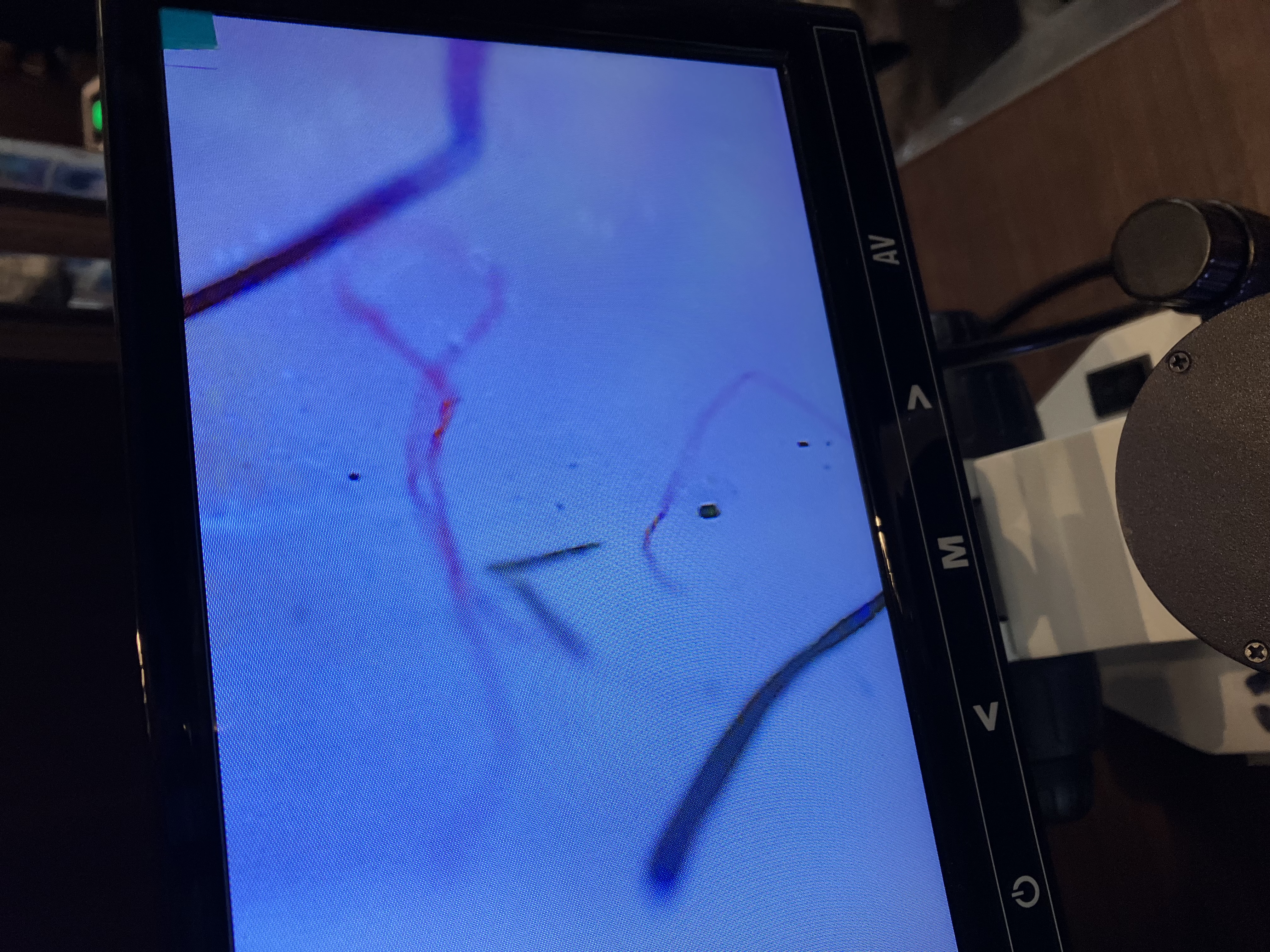 店内の様子の写真