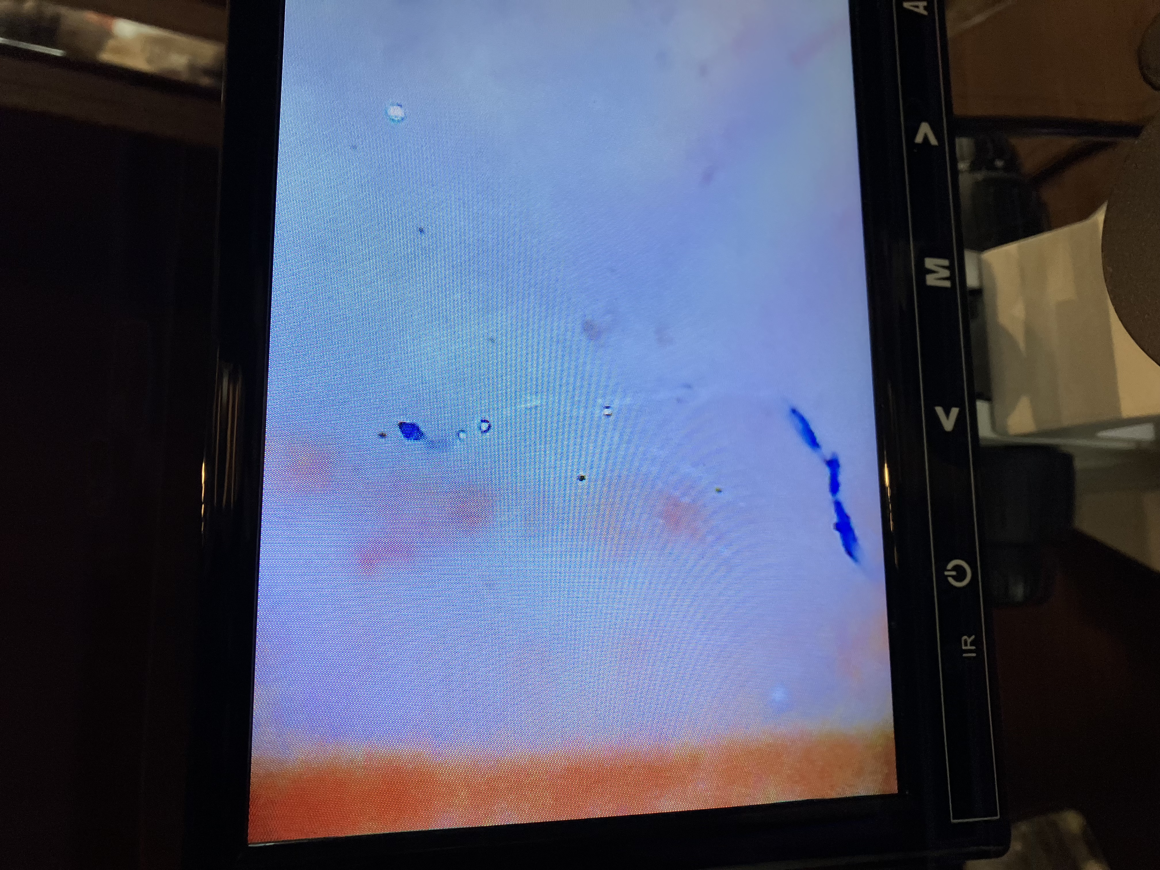 店内の様子の写真