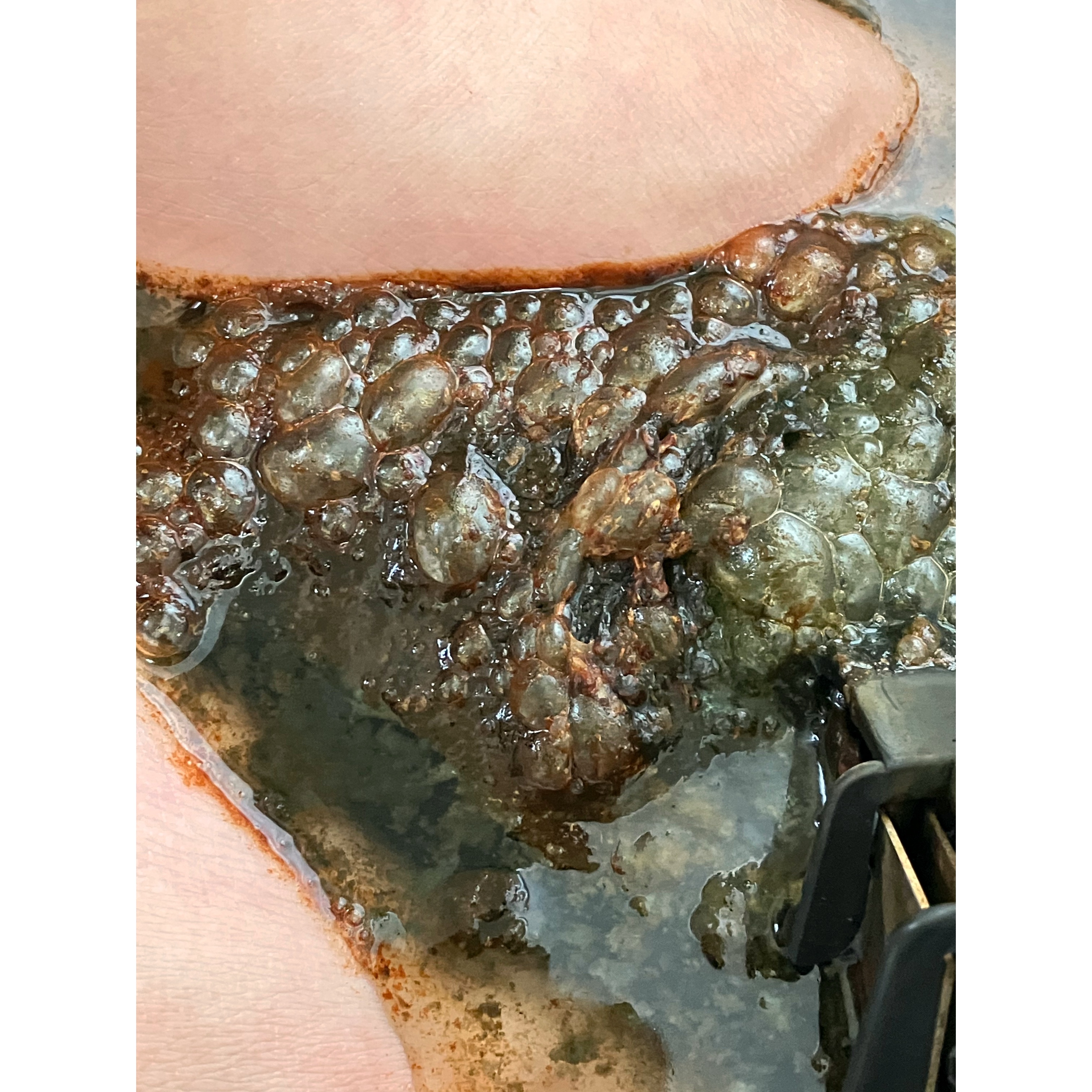 店内の様子の写真