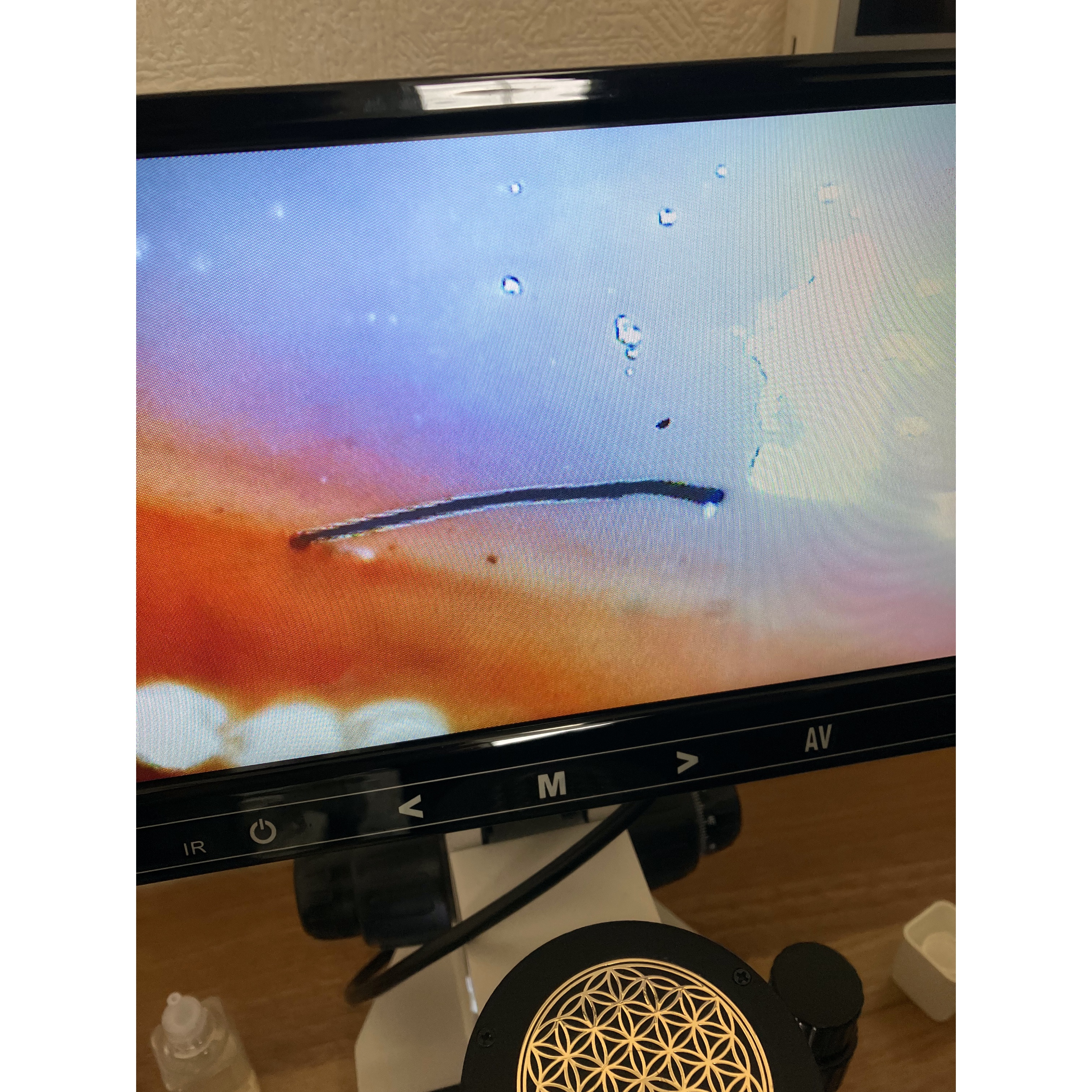 店内の様子の写真