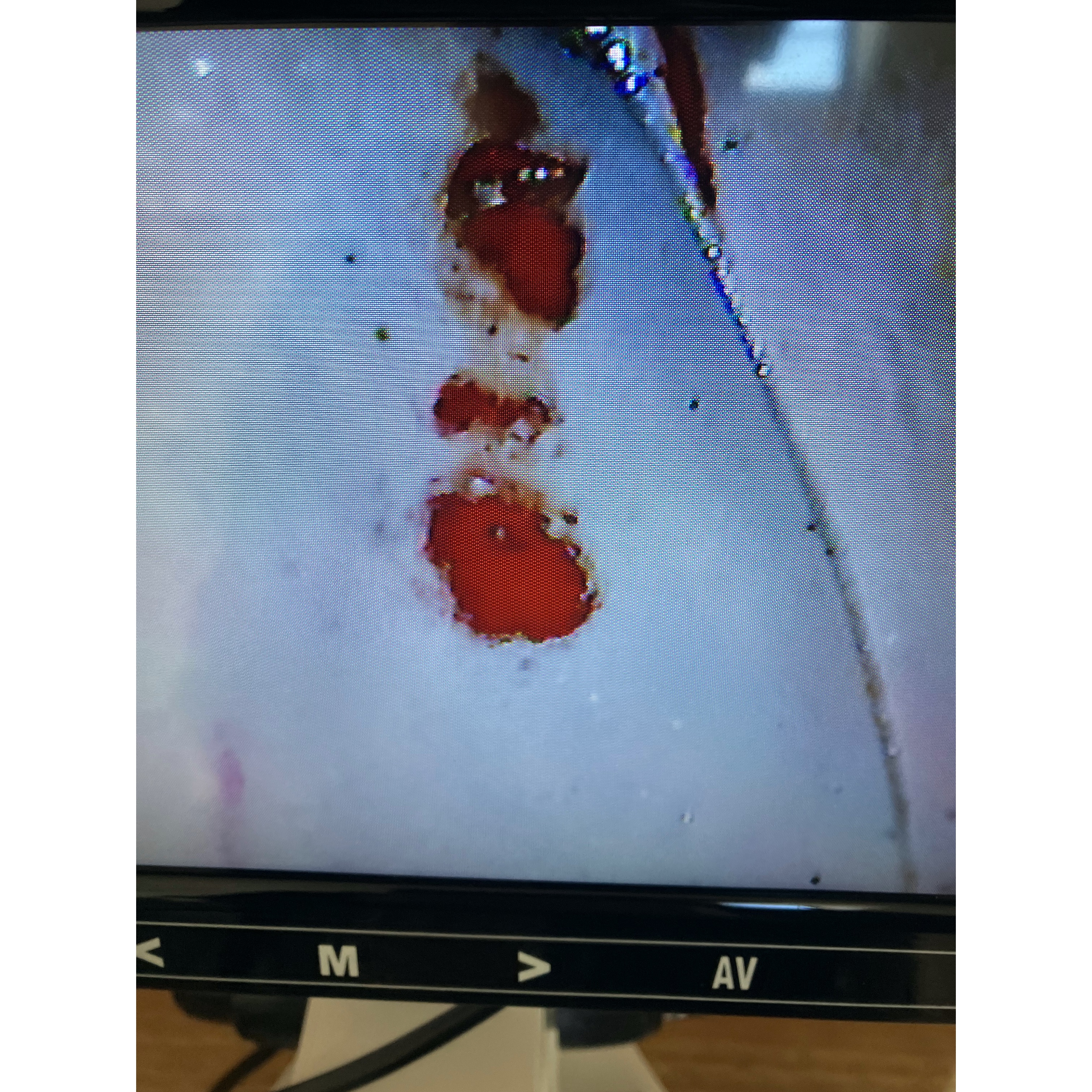 店内の様子の写真