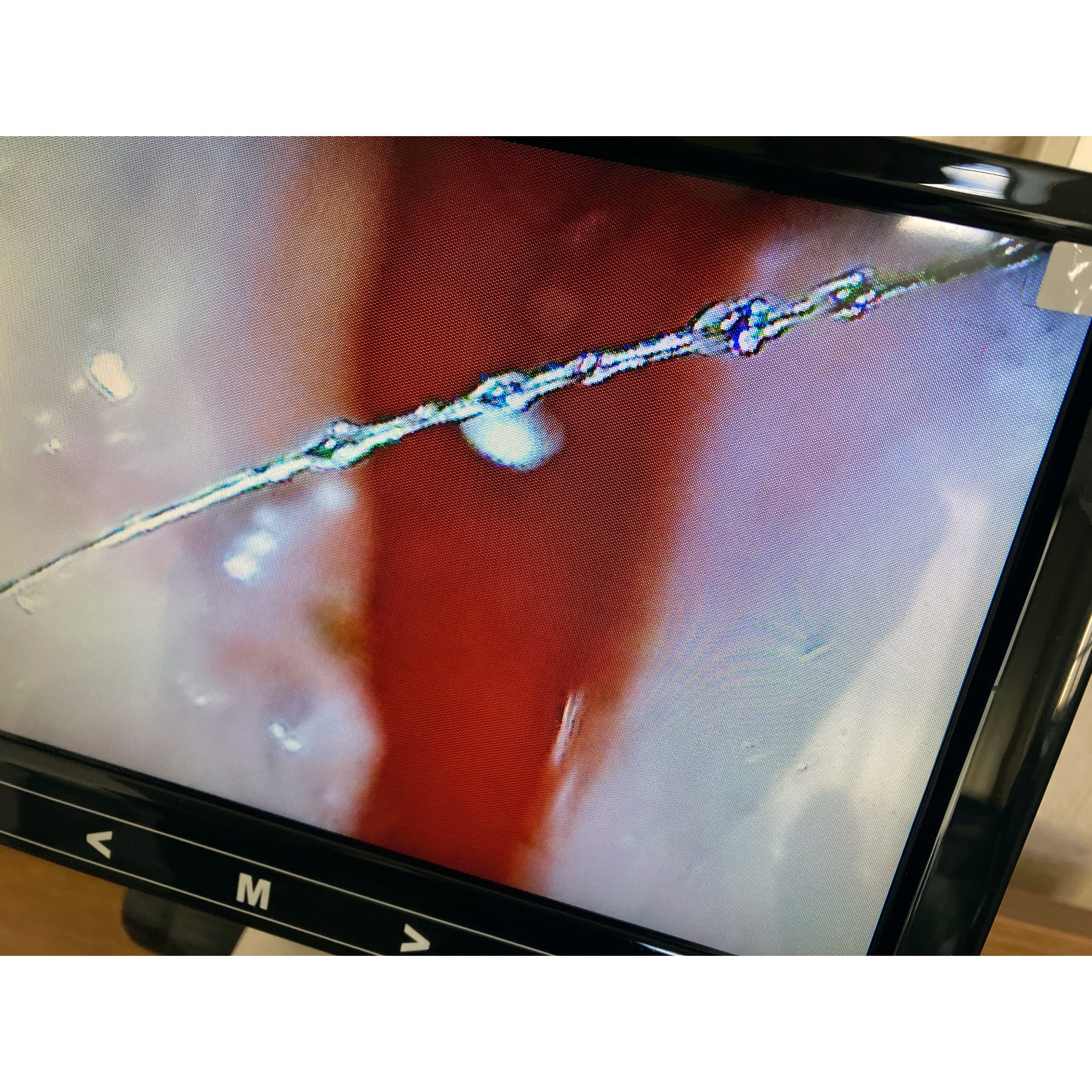 店内の様子の写真