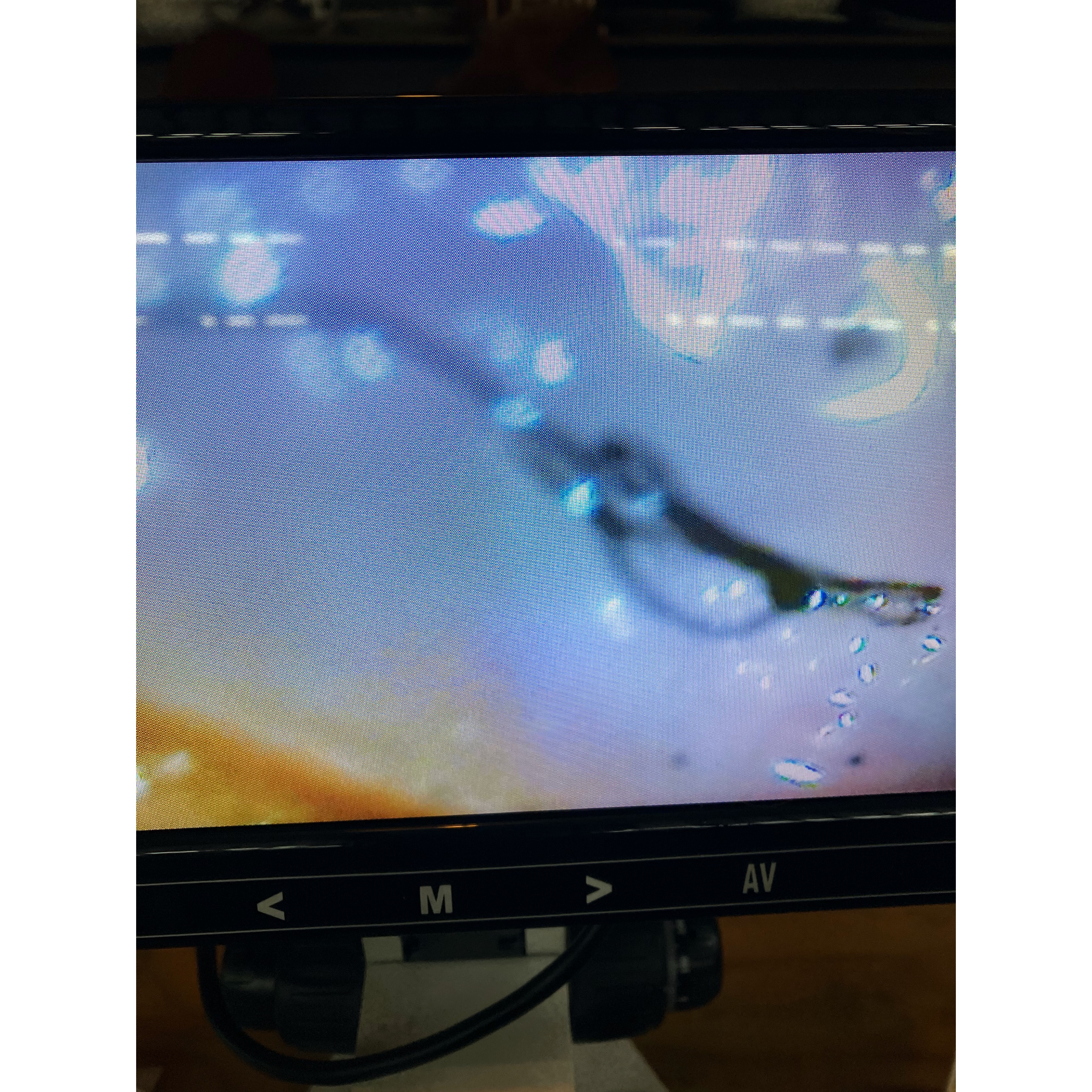 店内の様子の写真